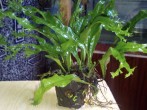 IMG_20160417_105343.jpg