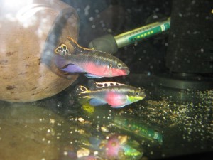 IMG_3151.JPG