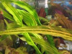 IMG_5814.JPG