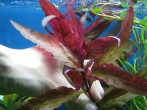 IMG_9059a.jpg