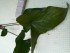 copy_0_20160325_133412.jpg