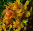 copy_102_copy_785_copy_666_1-2.jpg