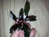 copy_106_20160417_182319.jpg