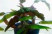 copy_212_058_1.jpg