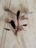 copy_291_20160417_182020.jpg