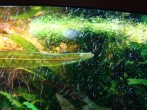 copy_292_DSC06100.jpg