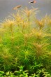 copy_314_copy_517_copy_367_039_1.jpg