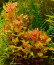 copy_438_copy_455_copy_662_5-4.jpg
