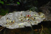 copy_477_copy_657_DSC0618-2.jpg