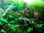 copy_4_DSC06099.jpg