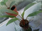 copy_516_20151204_153602.jpg