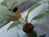 copy_516_20151204_153602.jpg