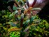 copy_64_copy_837_copy_687_Biblis-Sky-Blue.jpg