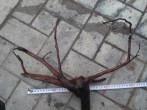 copy_777_DSC04637.jpg