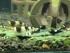 copy_829_image16.jpeg
