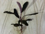 20160501_194651.jpg