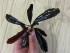 20160501_194704.jpg
