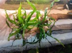 20160509125224.jpg