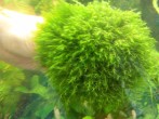 20160509125927.jpg