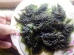 20160509130334.jpg
