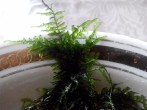 20160509130524.jpg