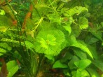20160510084741.jpg