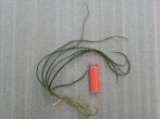 20160514_082427.jpg