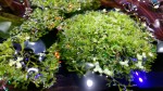 20160523_144811.jpg