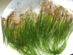 20160527_102314.jpg