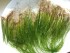 20160527_102314.jpg