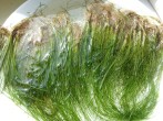 20160527_102331.jpg