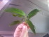 20160530_084230.jpg