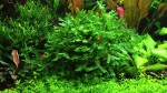 DSC01743.JPG