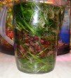 DSC08803.JPG