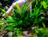 DSCF3615.jpg