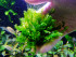 DSCF3617.jpg