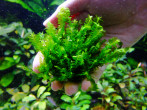 DSCF3618.jpg