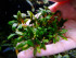 DSCF3621.jpg