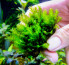 DSCF3628.jpg