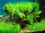 DSCN0215.JPG