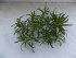 DSCN0229.JPG