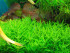 DSCN0246.JPG