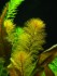 DSCN7813.JPG