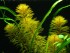 DSCN7832.JPG