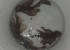 IMAG2611-1.jpg