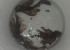IMAG2611-1.jpg