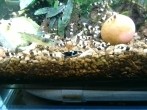 IMG_20160319_101344.jpg