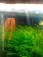 IMG_20160509_105554.jpg