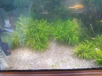 IMG_20160518_163556.jpg