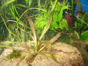 IMG_3211.JPG